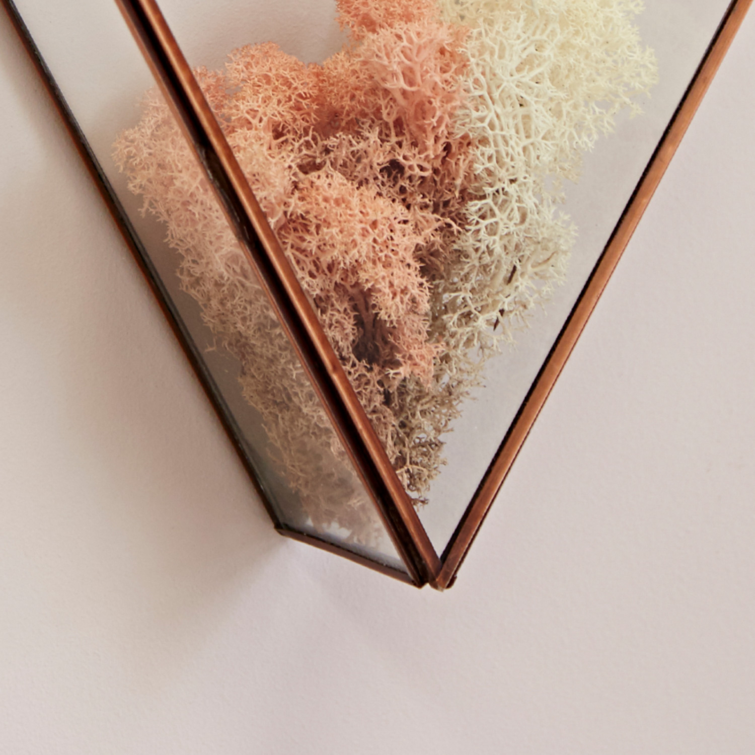 TSGTT-Triangular-Glass-Air-Plant-Wall-Terrarium-Close-Up