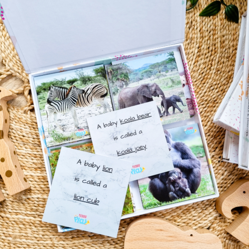 Animals & Animal Babies Learning Flashcards Set