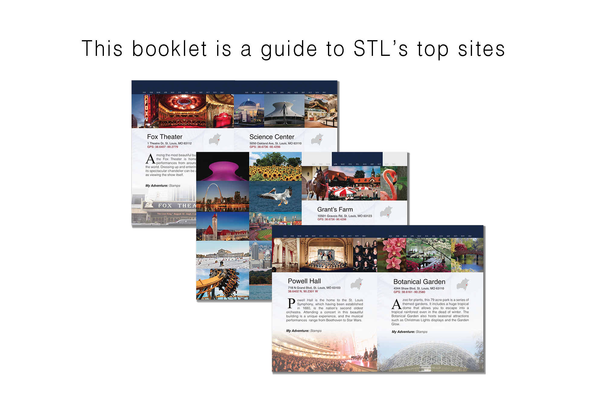 stl cardinals St. Louis Missouri Gift