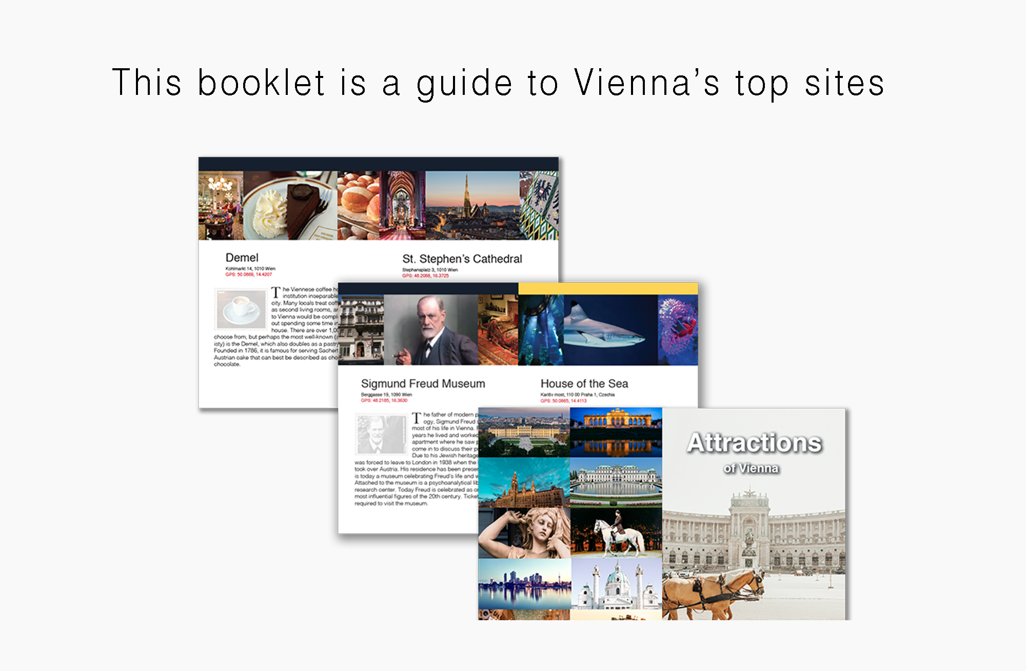 Passport to Vienna Austria Passport to Vienna Austria