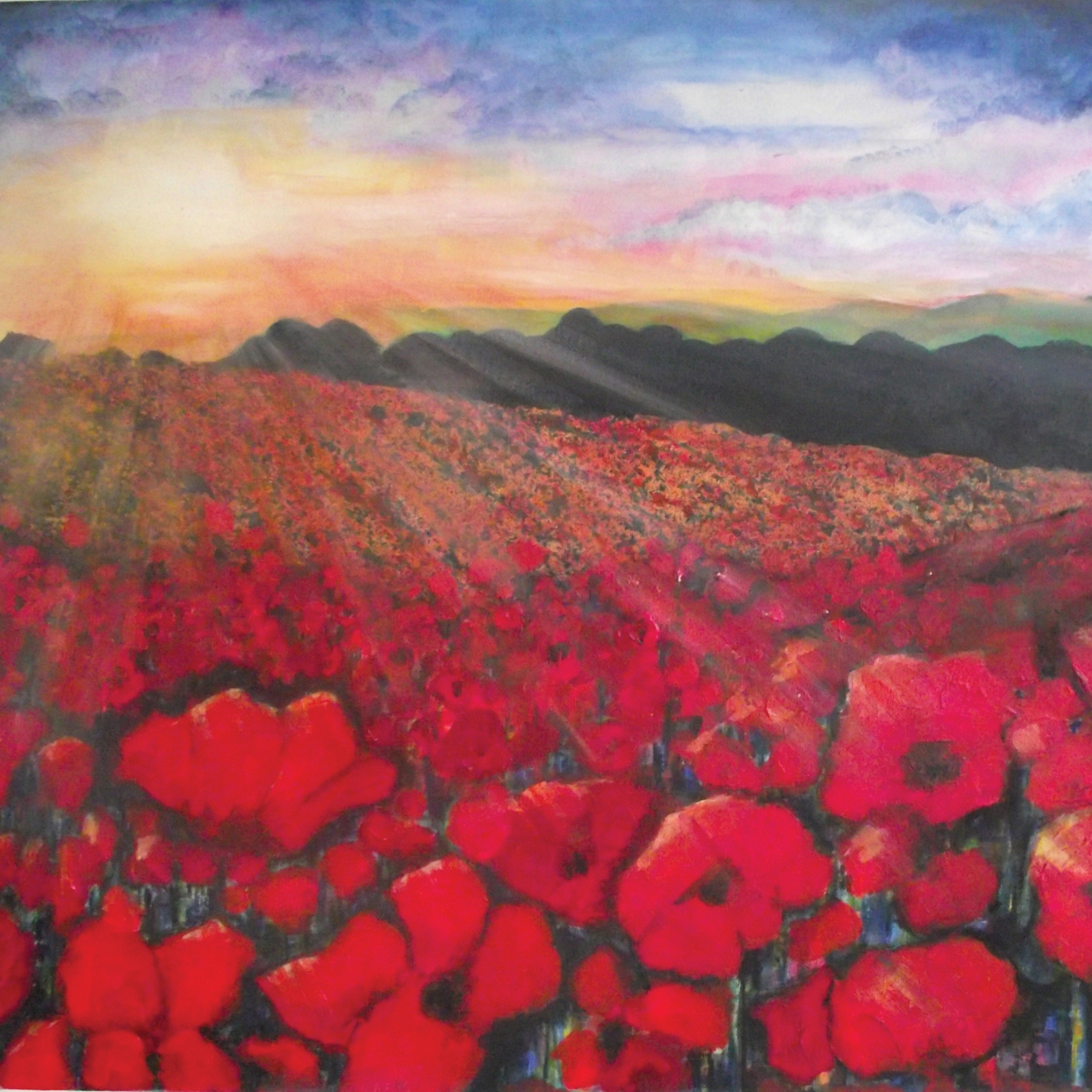 P01 Poppies