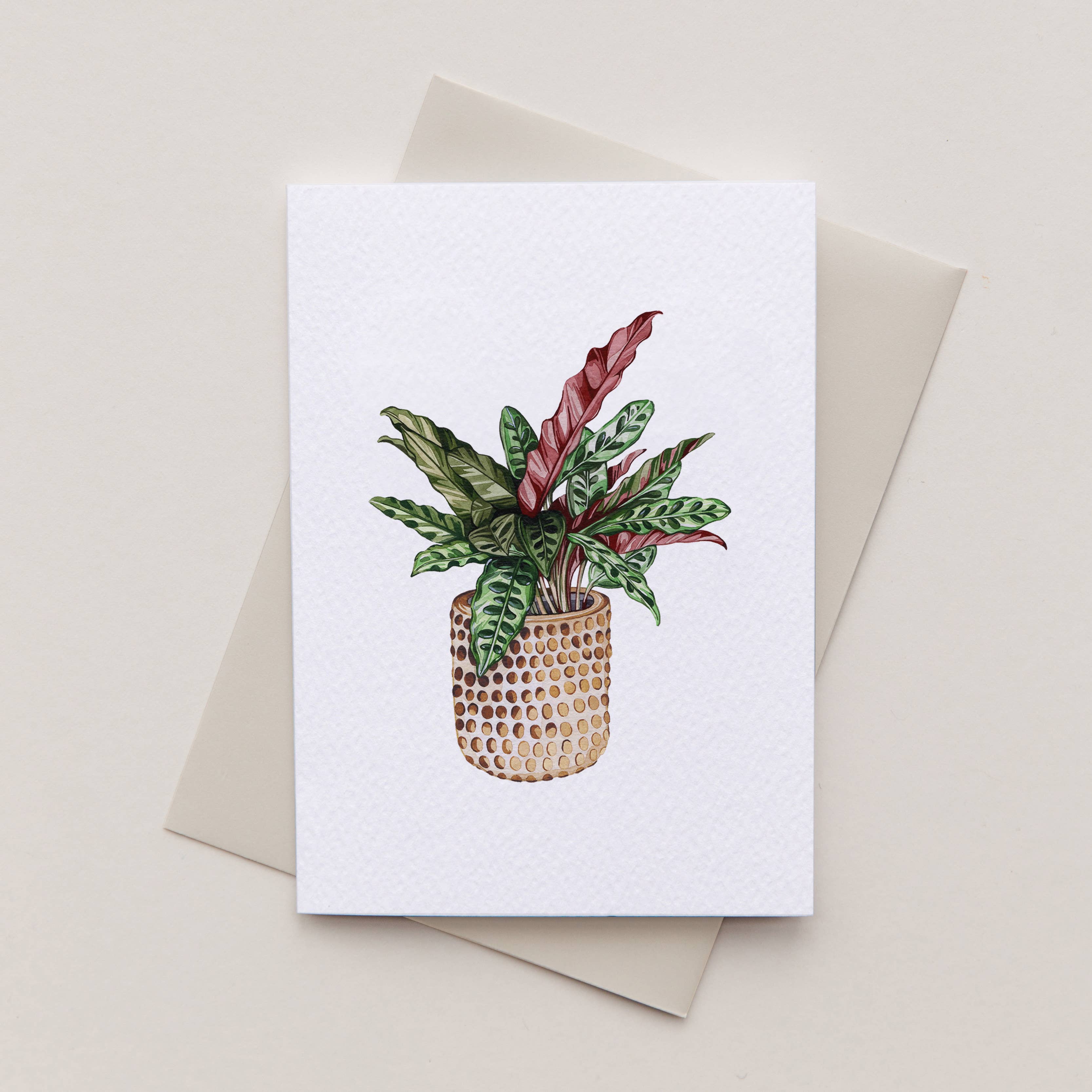 SB315Product Image 2