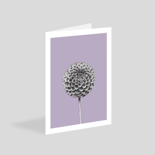 dahlia card - eco-friendly flower greetings card by bamber prints