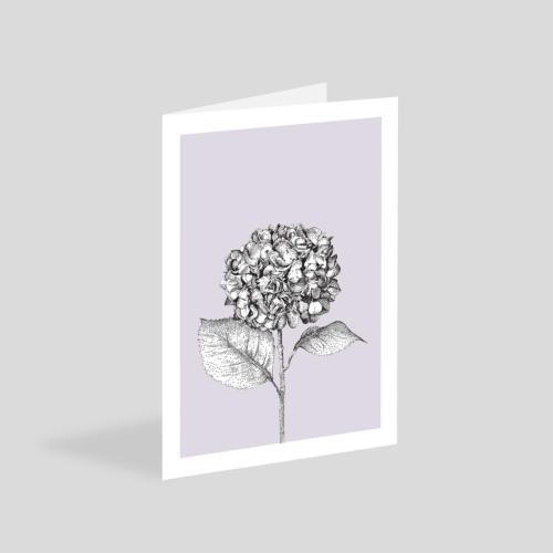 hydrangea card - eco-friendly flower greetings card by bamber prints