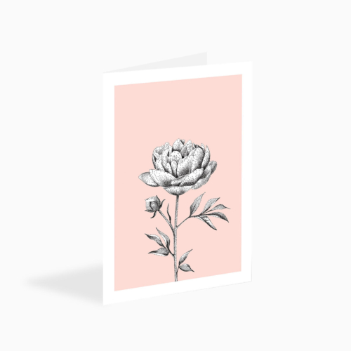 peony card - eco-friendly flower greetings card by bamber prints