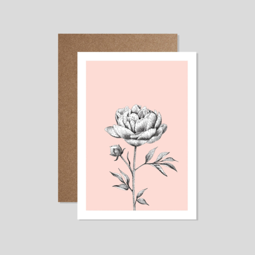 peony card - eco-friendly flower greetings card by bamber prints