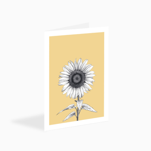 sunflower card - eco-friendly flower greetings card by bamber prints