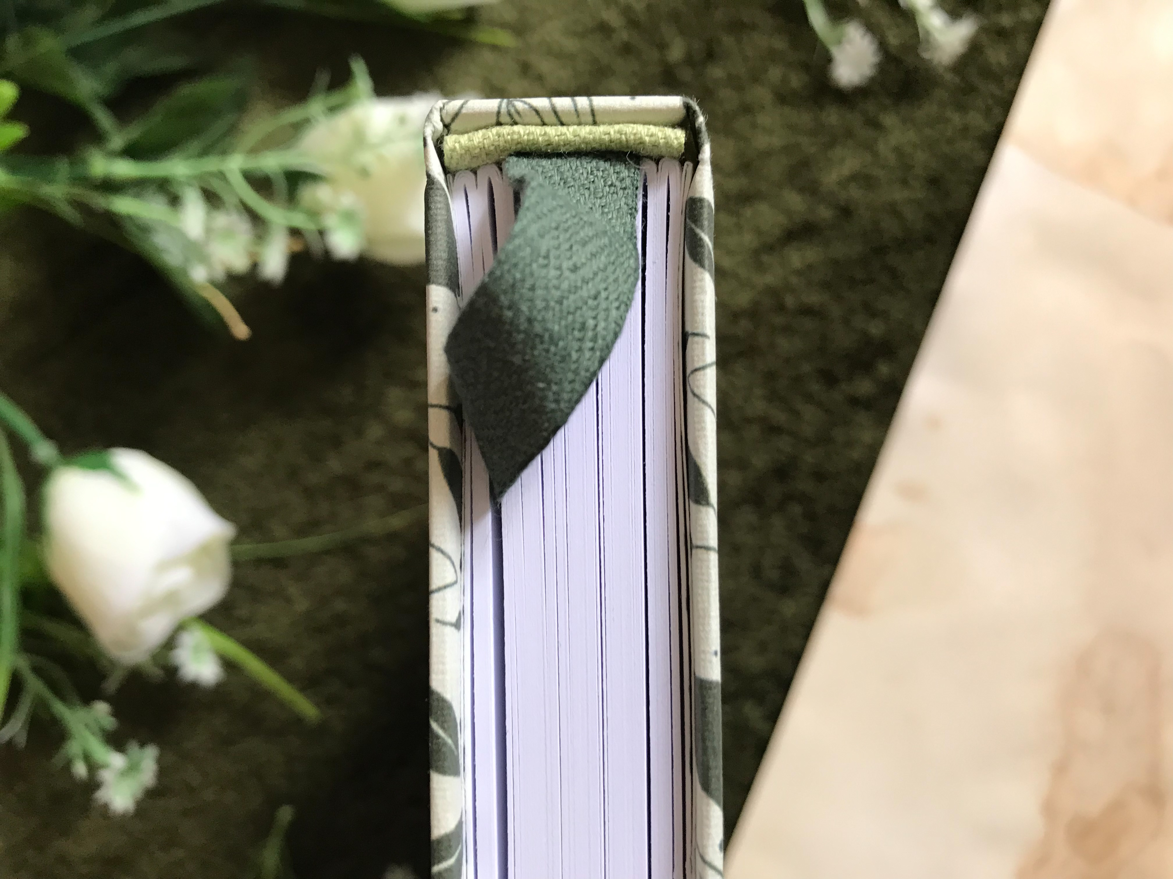 62B98097-2EA8-42F8-A56D-DFF8B53B454B