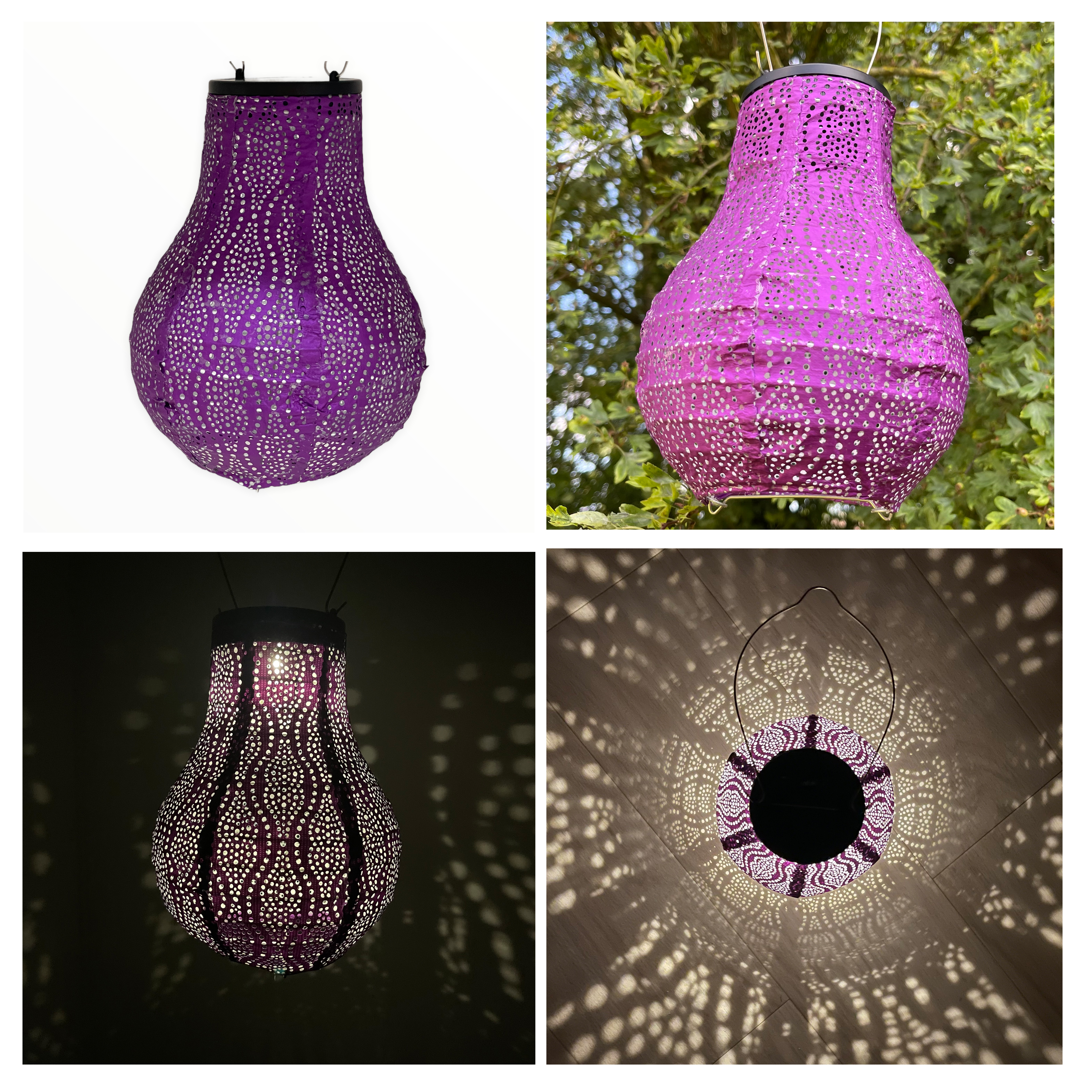 Bulb D16 *H20 purple dot chain all