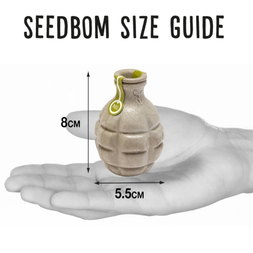 Wilderbom Seedbom - Top-Up Pack of 36 (Save 2%)