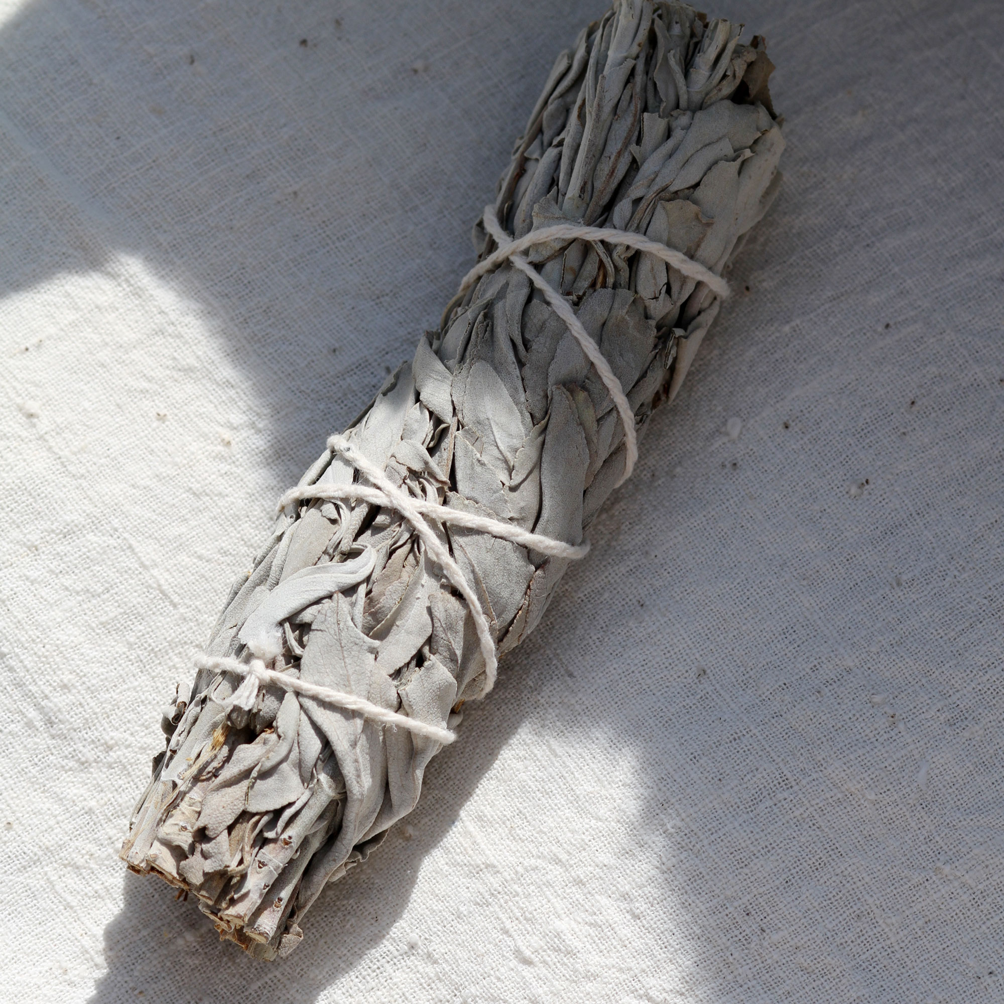 ethically-sourced-california-white-sage-smudge-stick-purification-and-cleansing-ceremony
