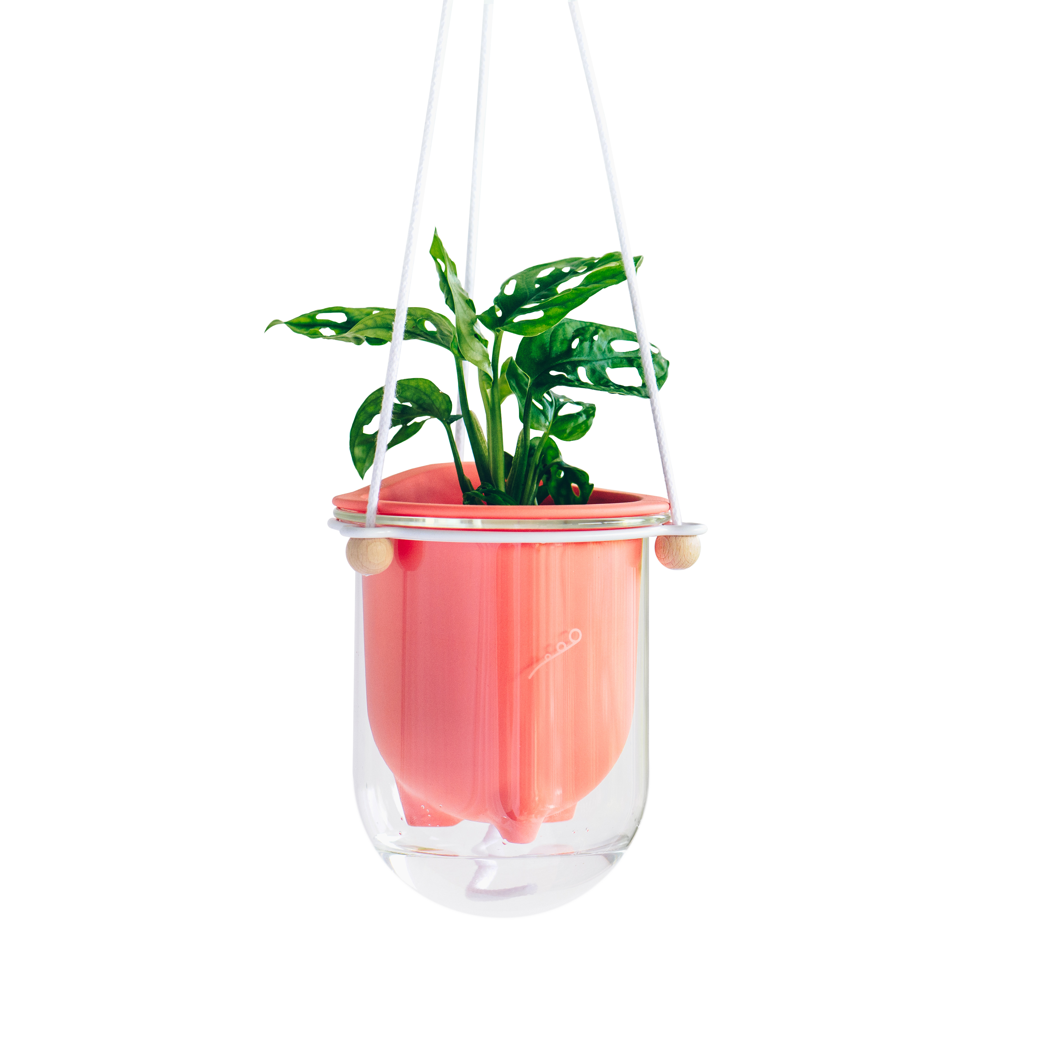 Frond_Flo_Self-watering-plant-pot_HANG_clear_coral_planted