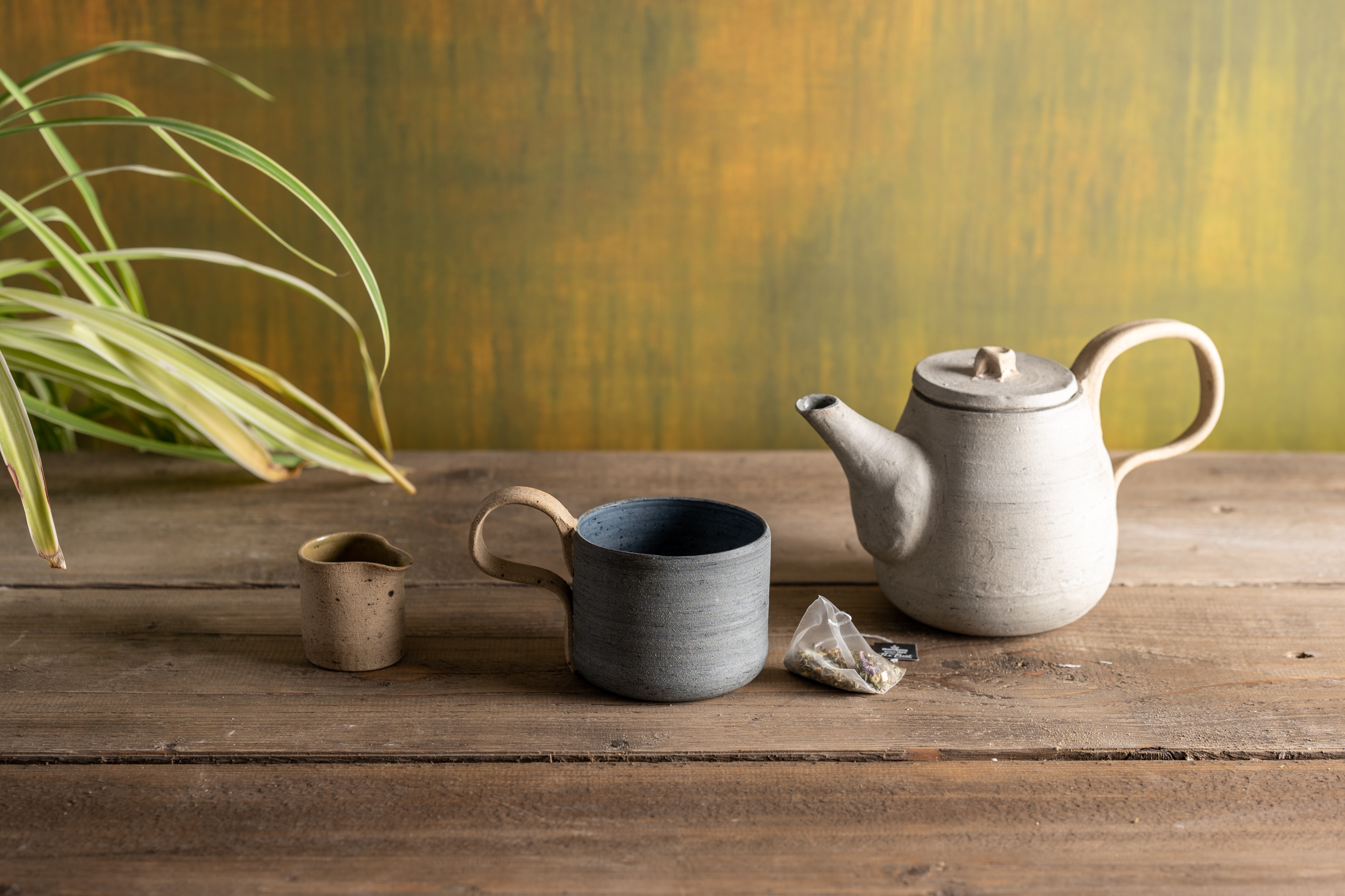 KarenDawnCurtis19072022_RobCoombe-2