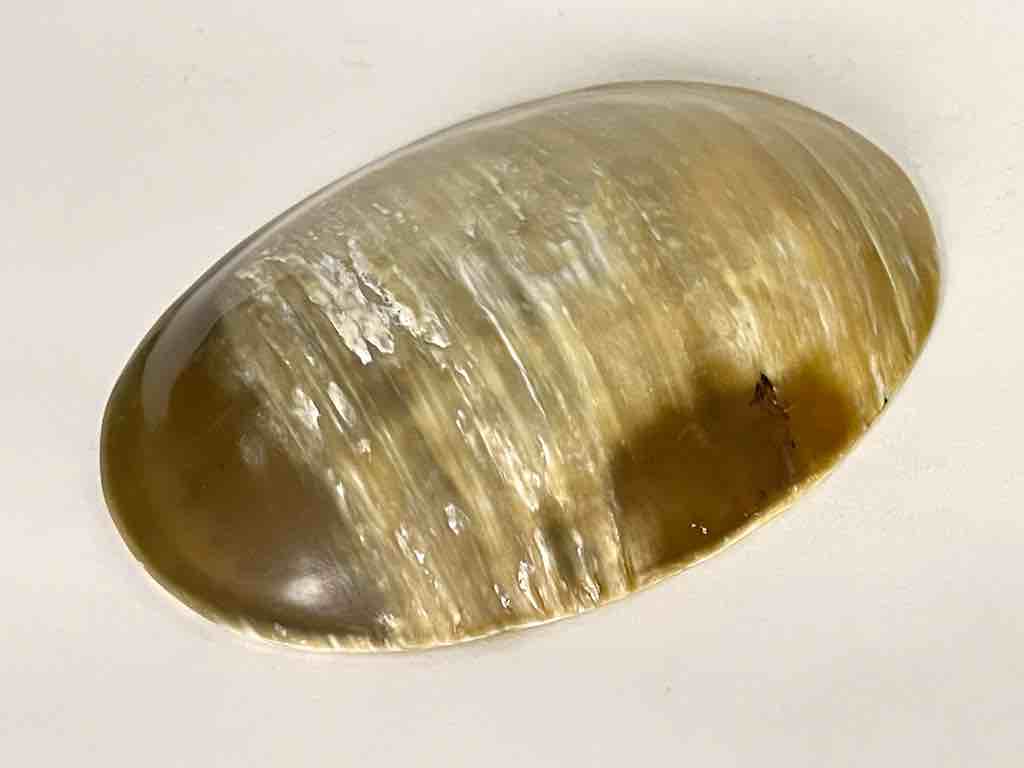 img_5748-jpgv1643431858