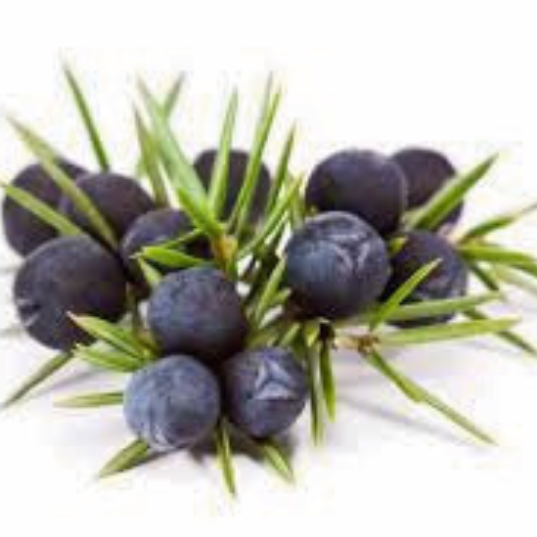 Untitled design(105)