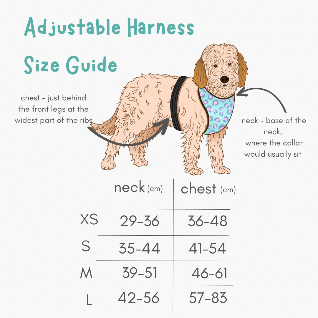 9F9C1419-3A87-4A2F-9A1E-73D8B115C42D 2