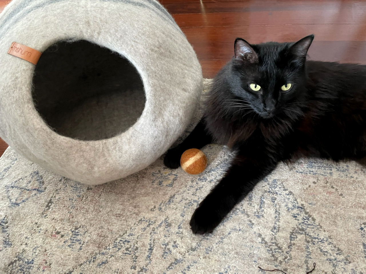 IG_57a-MISHUM-black_cats