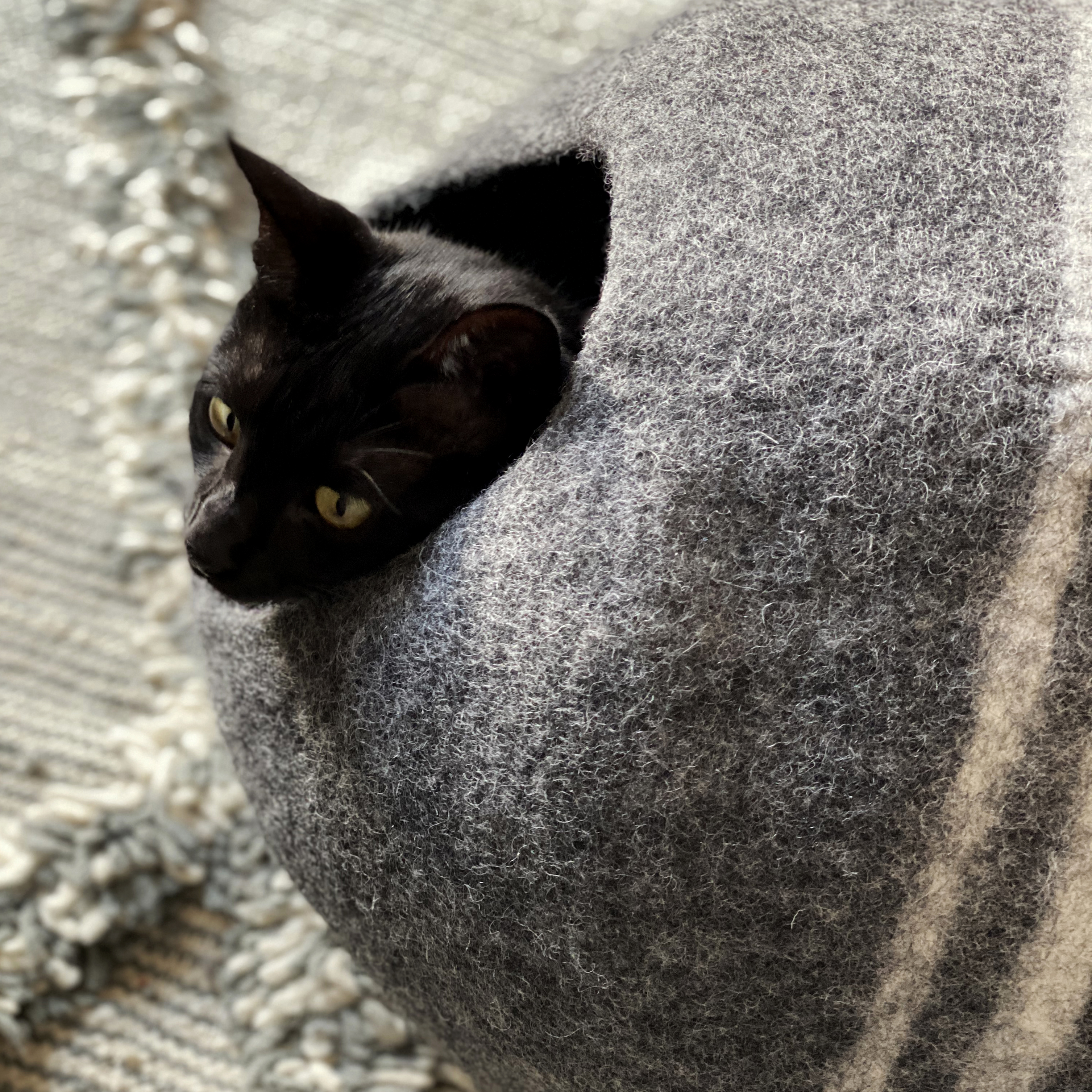 IG_82a-MISHUM-petra_cave