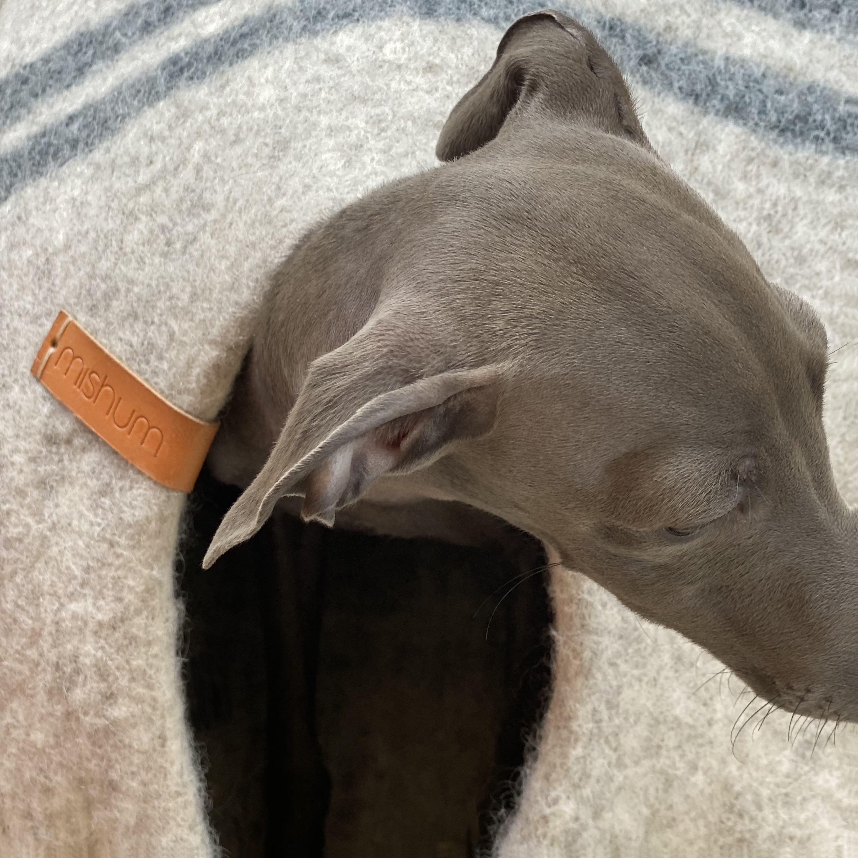 IG_93a-MISHUM-petracave