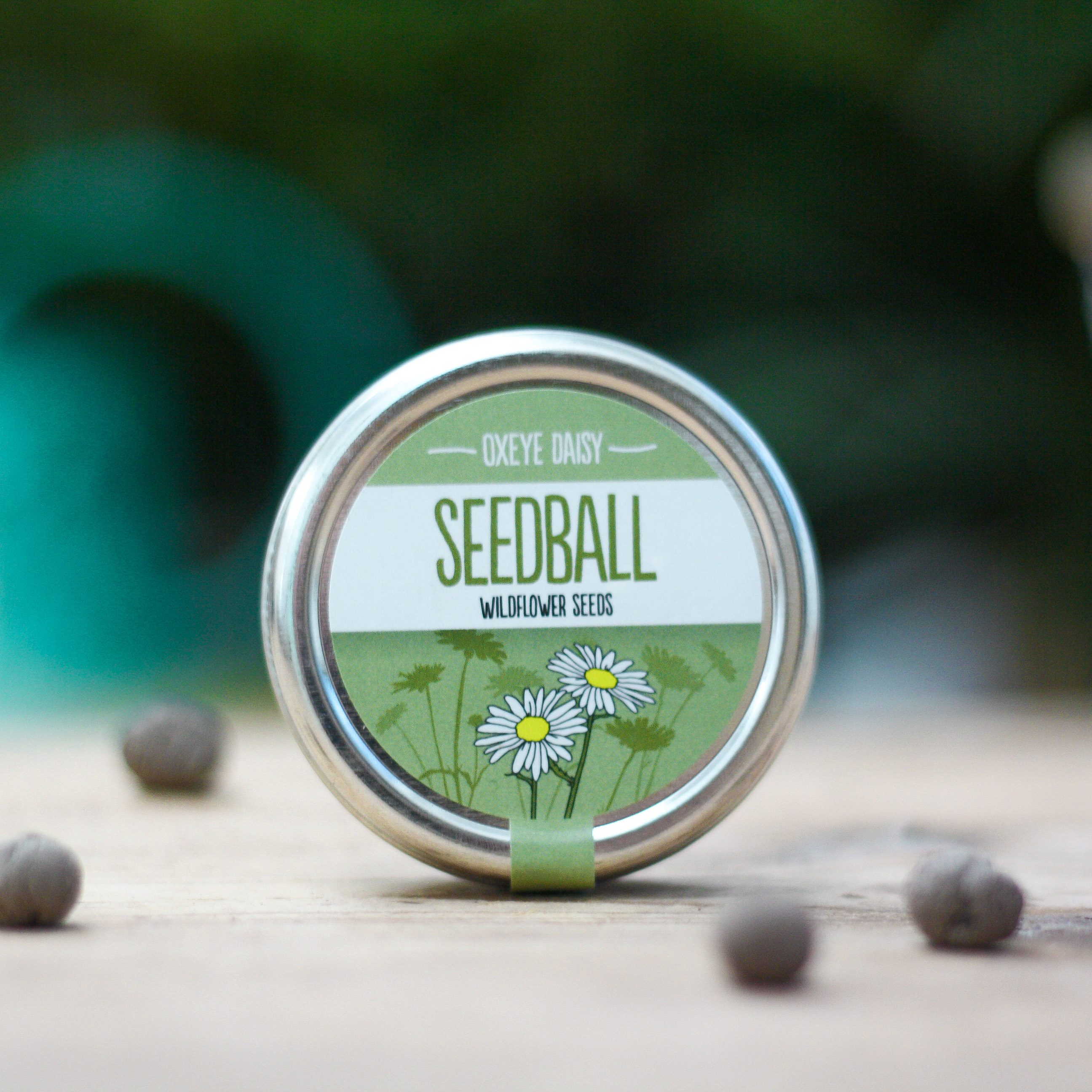 Seedball-Tin-Lifestyle-Images-04 copy