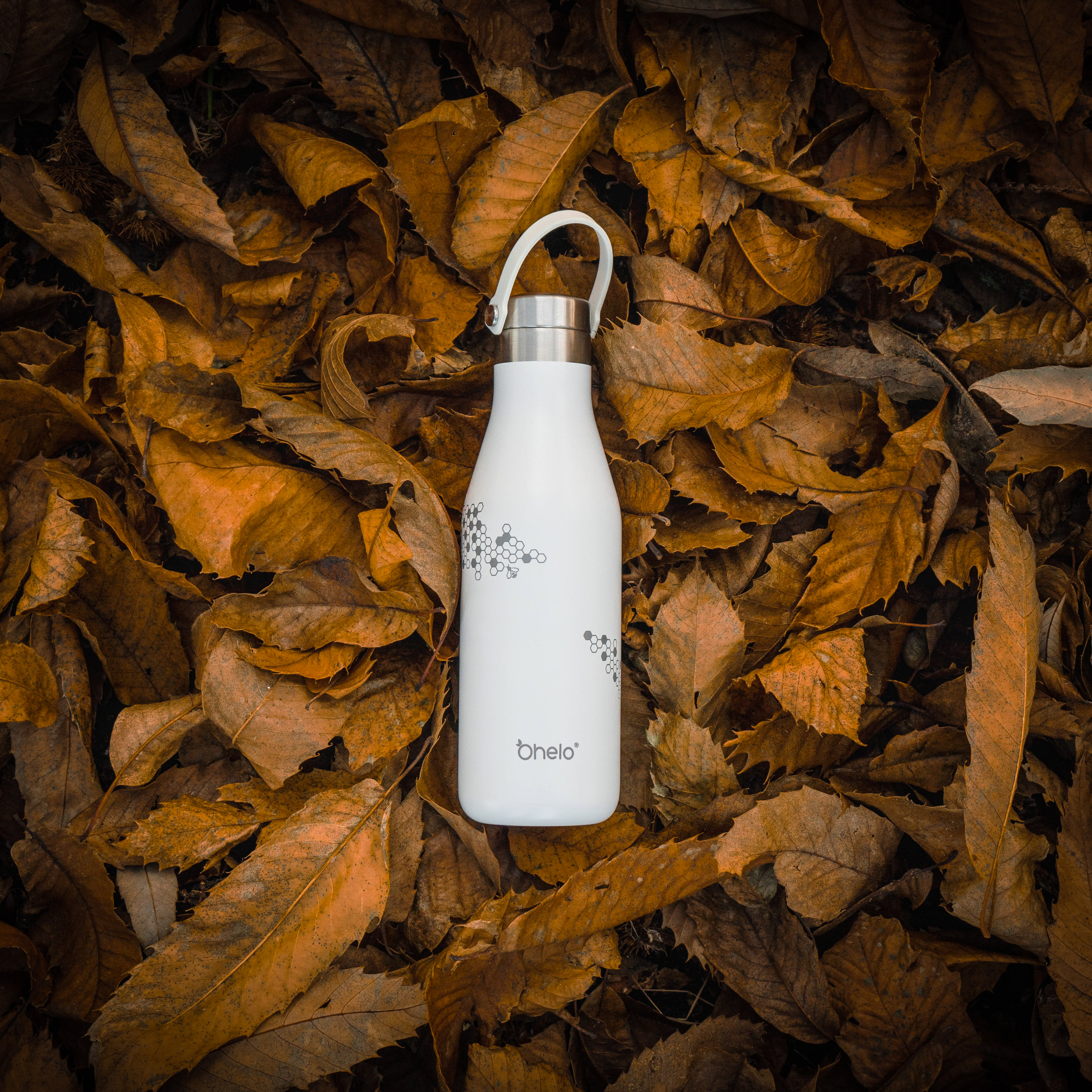 maxsmith kickstart interviewee image1 edited