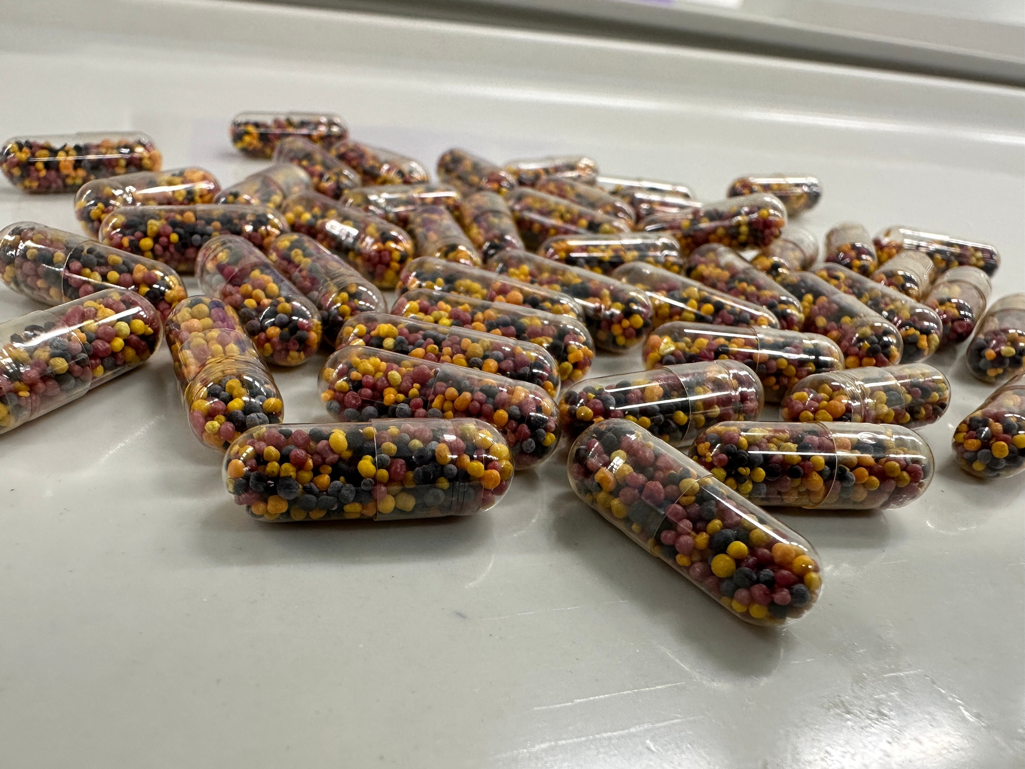 WhatsApp Image 2022-12-21 at 12.41.28