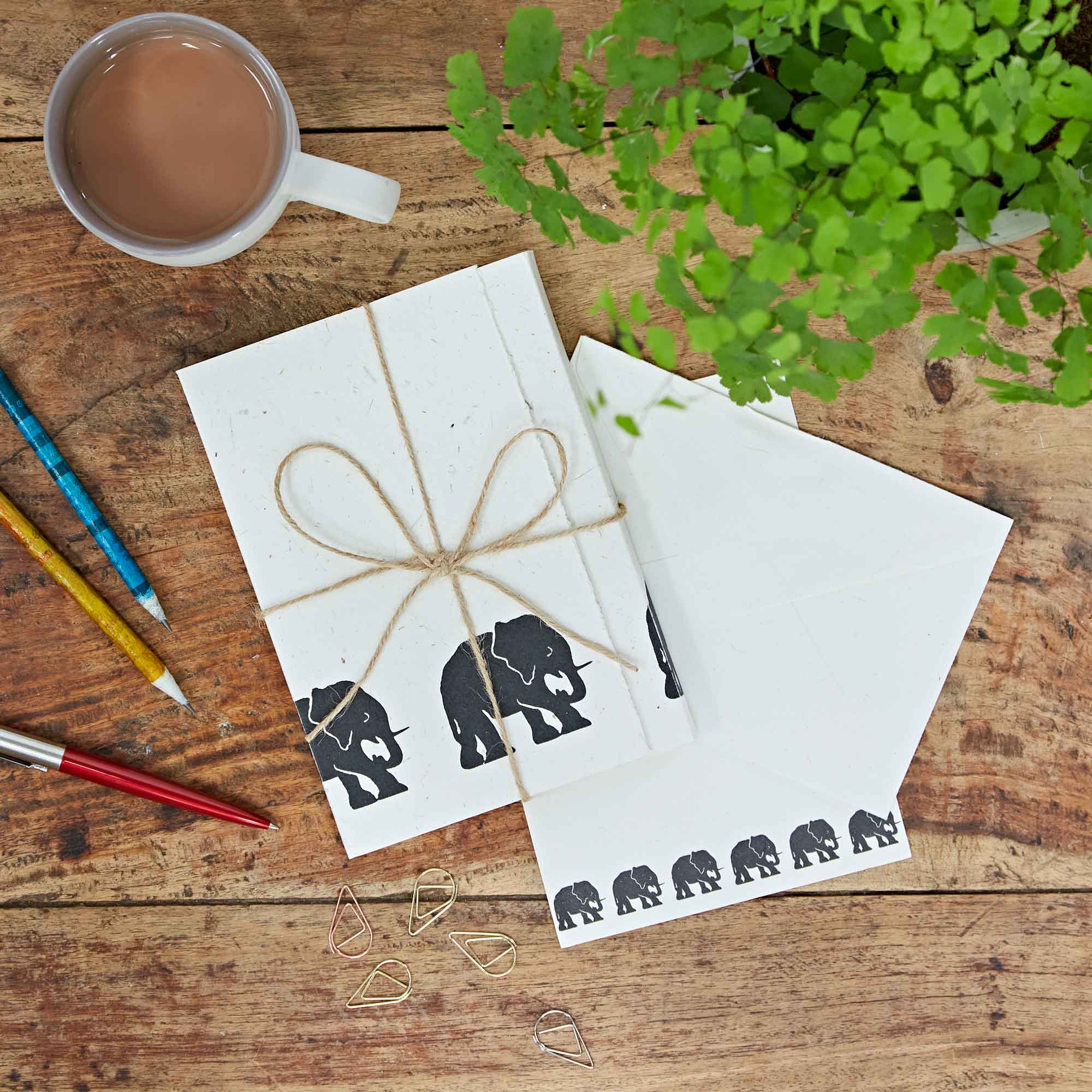 EWS-Elephant-Dung-Stationery-Set-LR-1