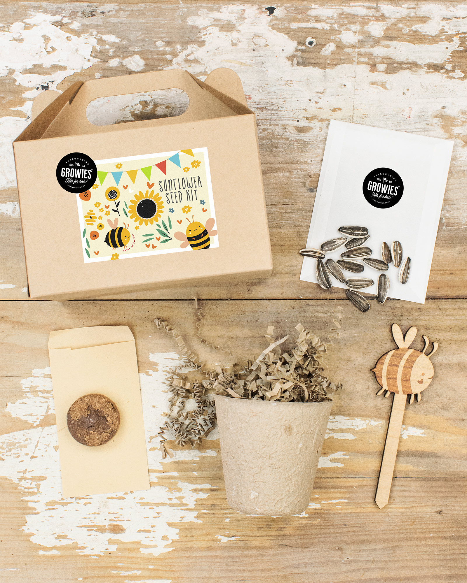 Grow Your Own Sunflower Kids Seed Boxes Comp