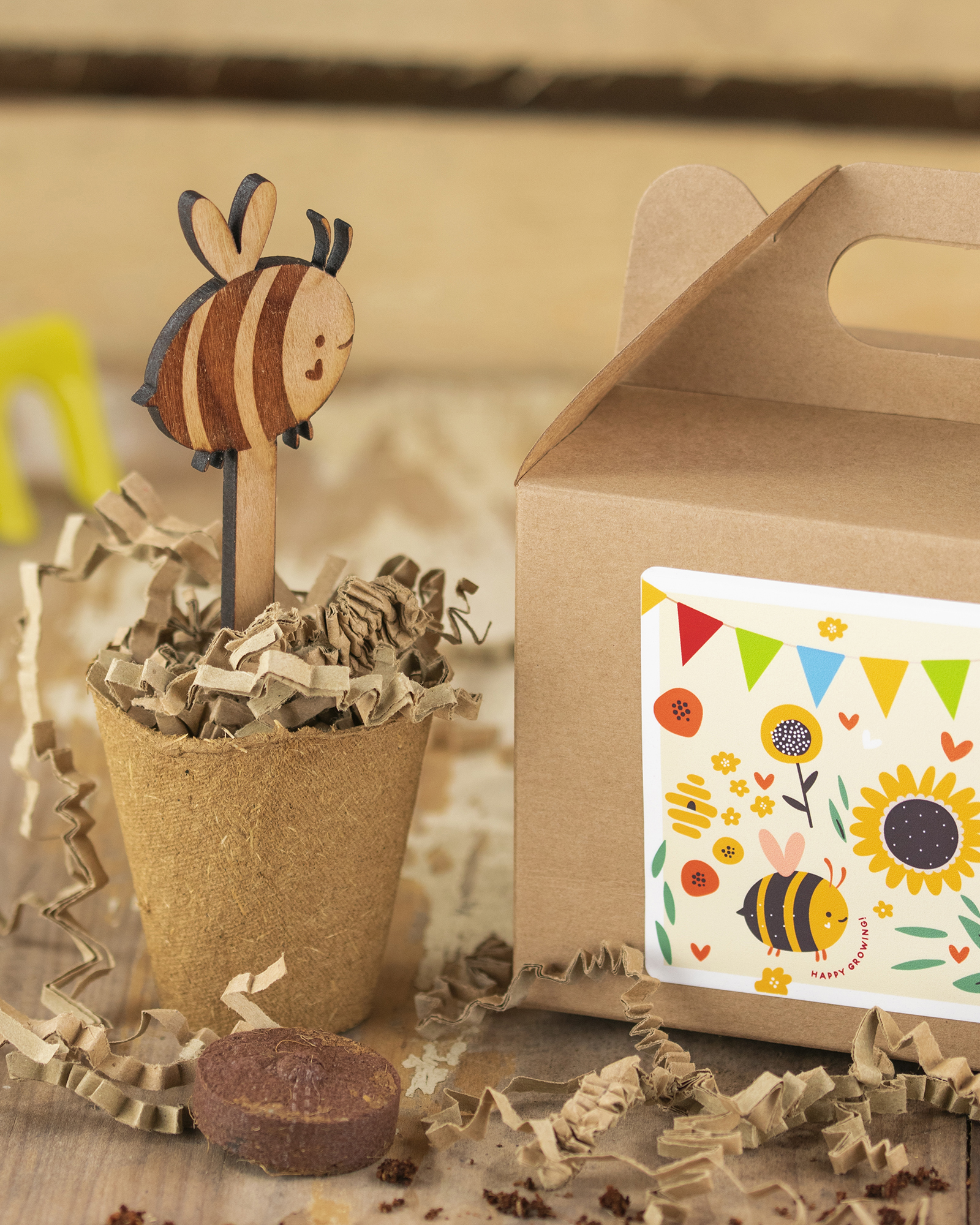 Party Pack Sunflower Seed Box 2