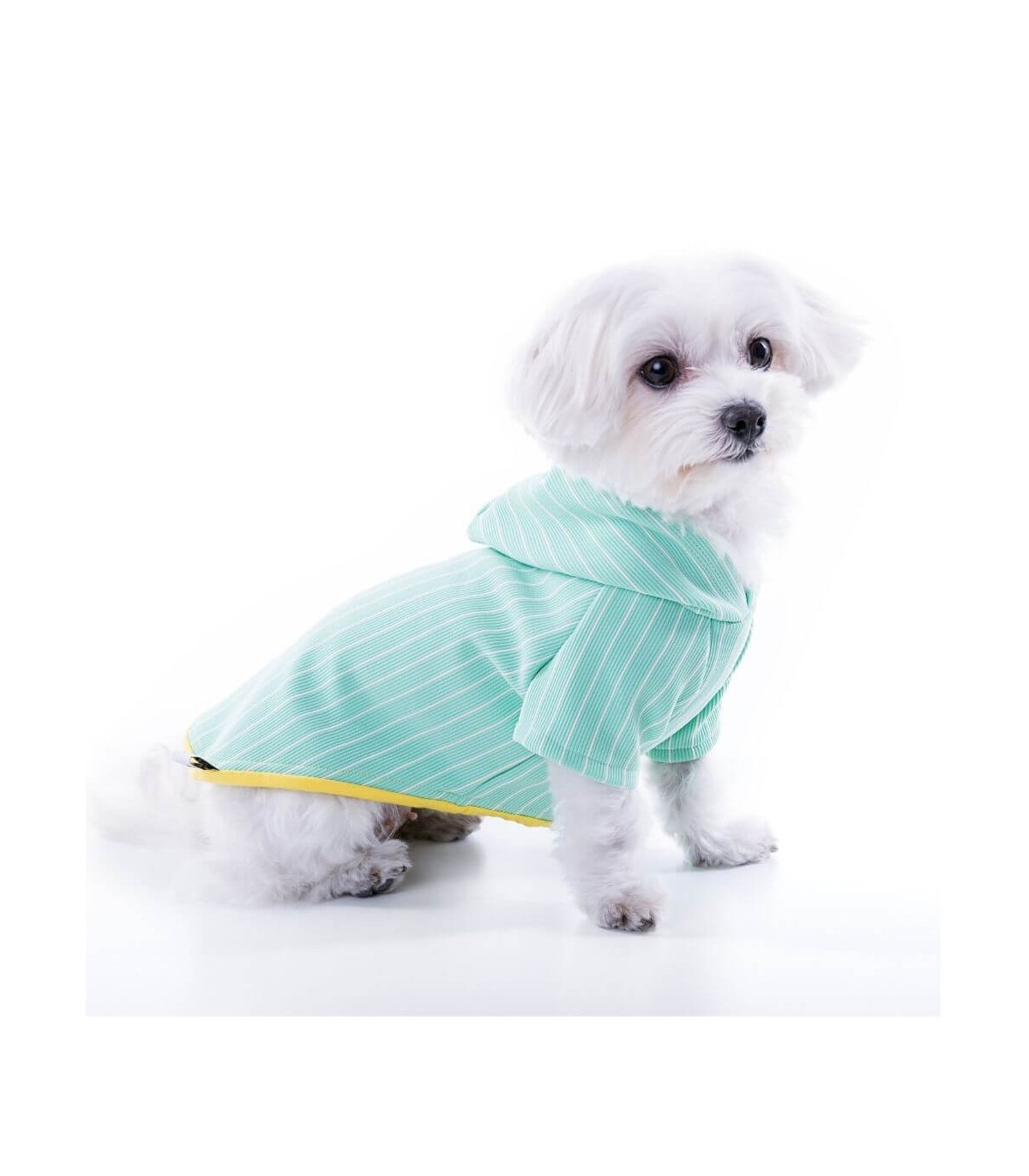 GG Chispa apple 1 sueter-para-perro-chispa-apple-green