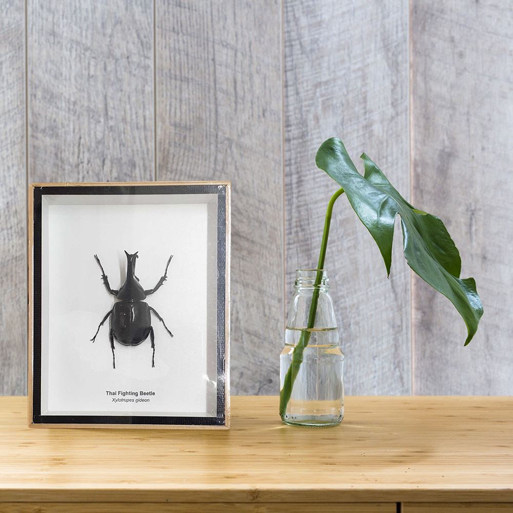 1a2836ed-594c-4efc-ae1a-76330bab8474-jpgv1675340583