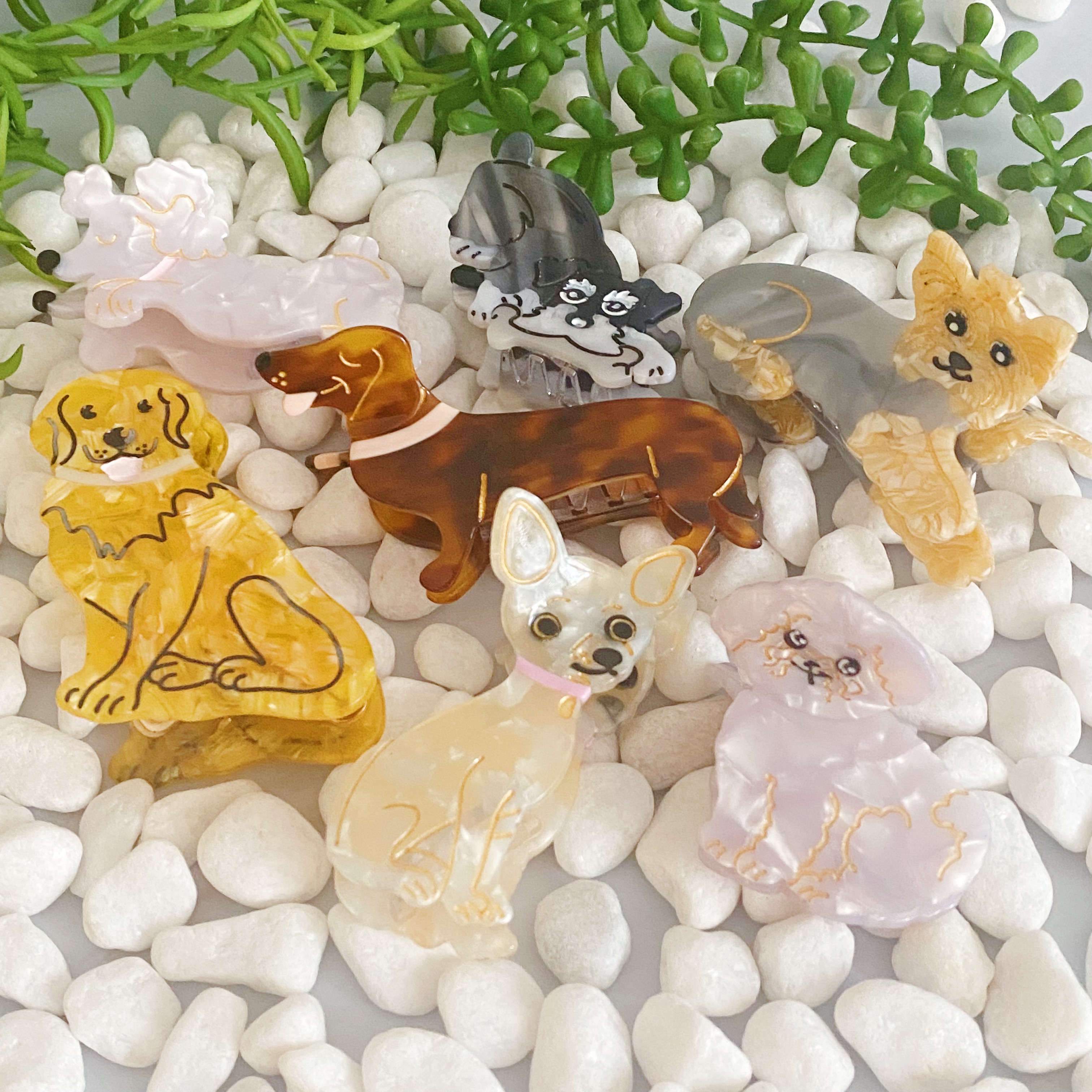 01FE5818-E979-479A-BFED-AAD54C760DB2 (1)