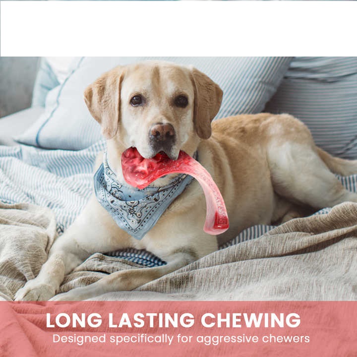 WhatsApp Image 2023-10-31 at 9.00.44 AM (1)