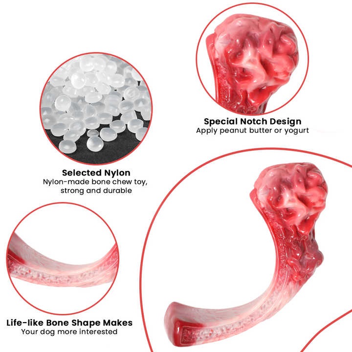 WhatsApp Image 2023-10-31 at 9.00.45 AM (1)