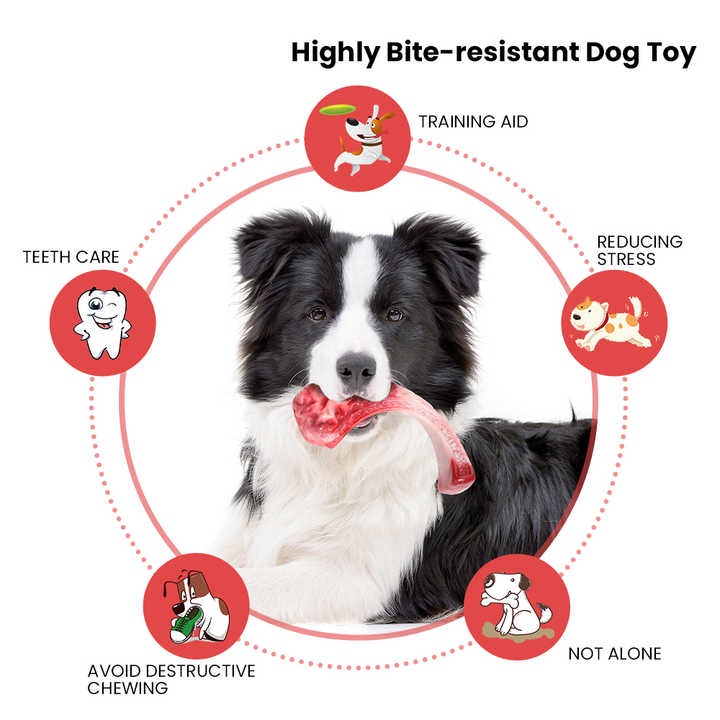 WhatsApp Image 2023-10-31 at 9.00.45 AM