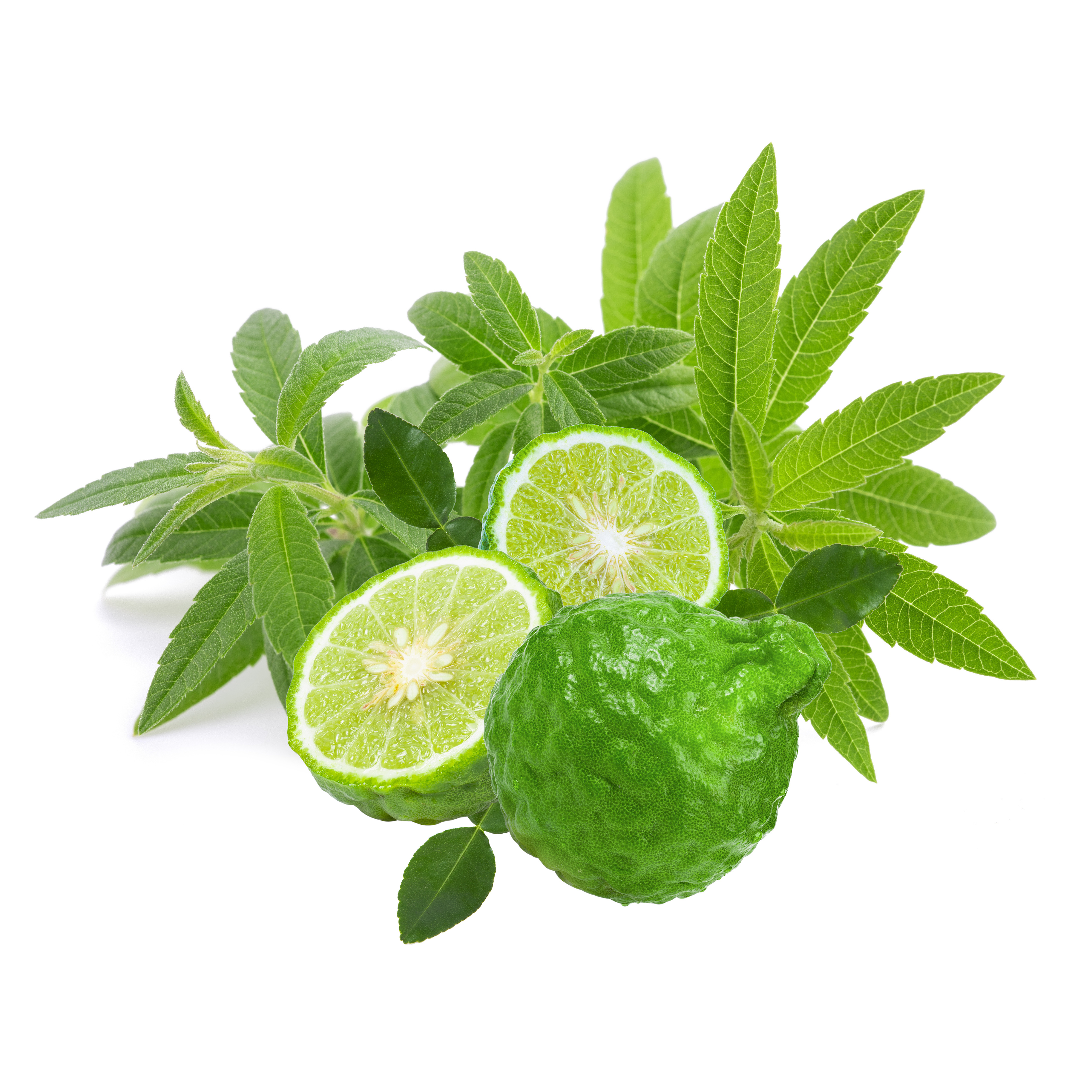 Verbena-Bergamot ingredient