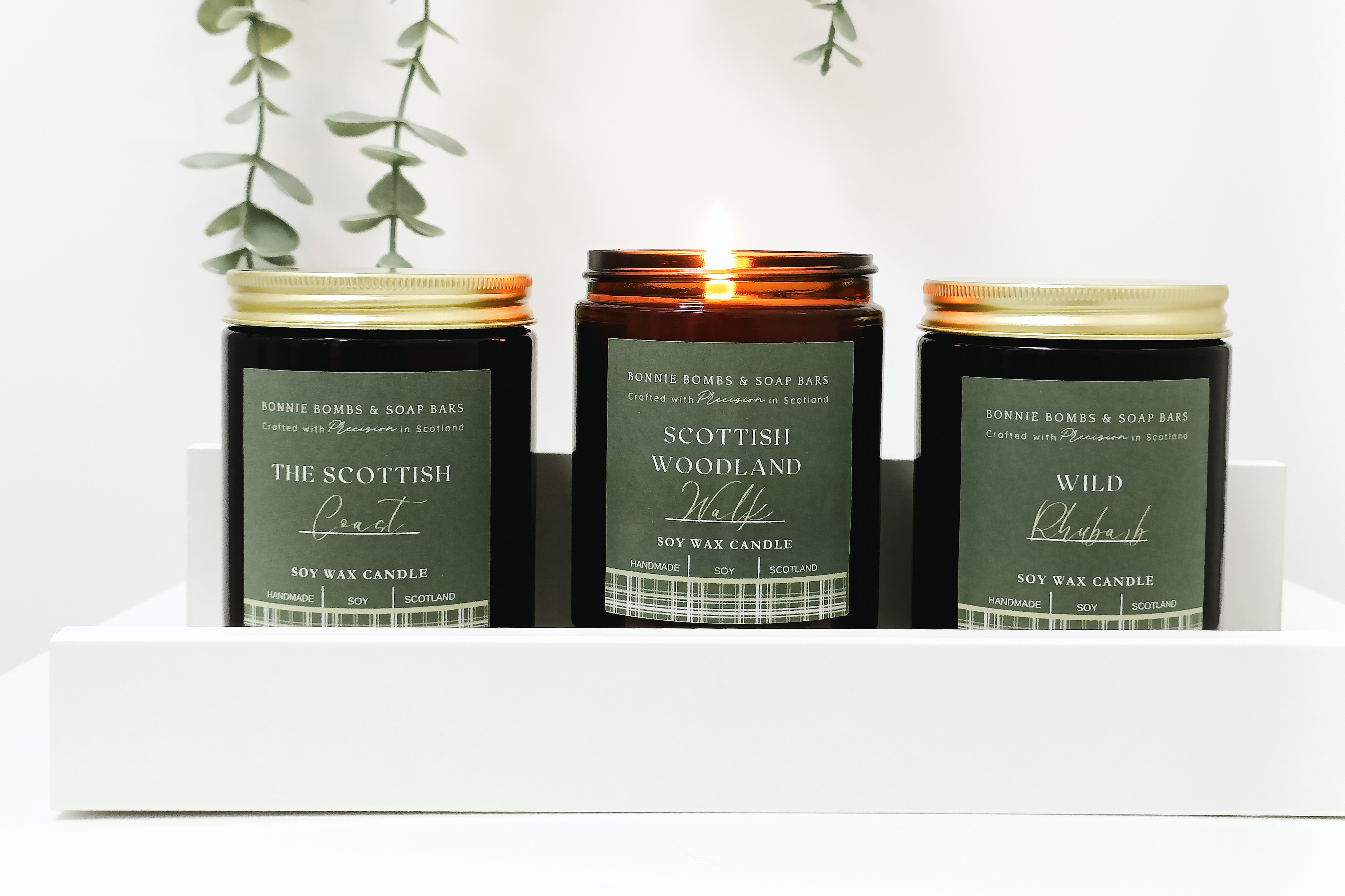 10-IMG20240306114342