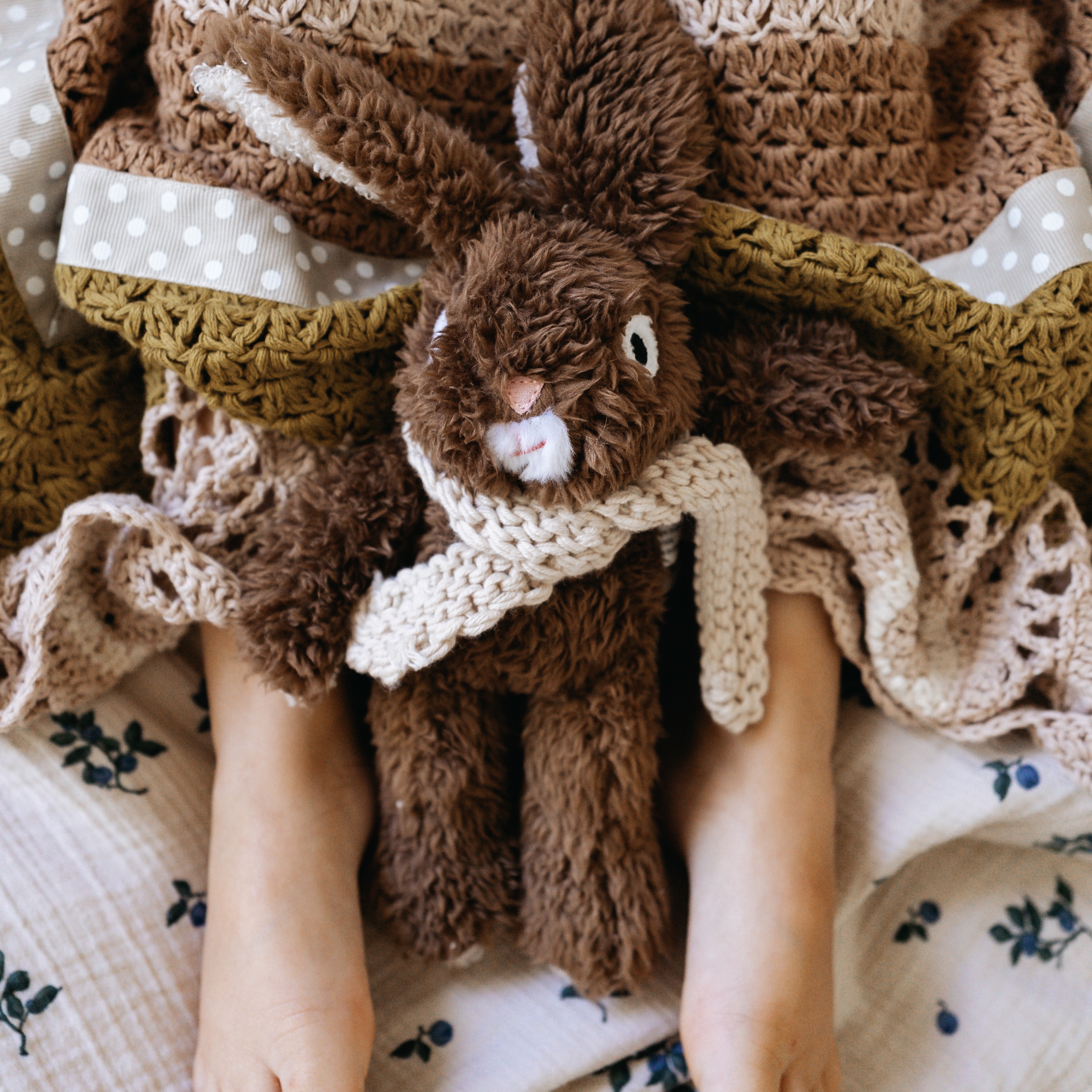 frankie rabbit 3 2 frankie rabbit