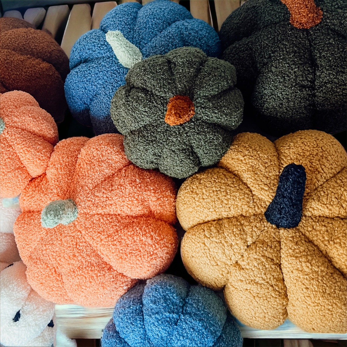 PhotoRoom_20230719_111926