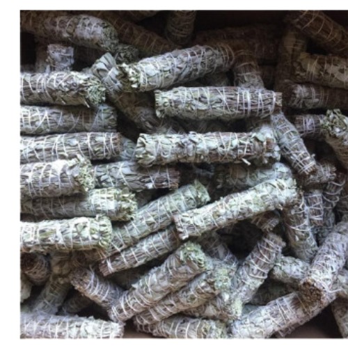 WhatsApp Image 2024-08-08 at 17.53.04 (2)