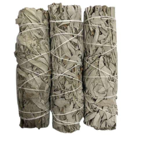 WhatsApp Image 2024-08-08 at 17.53.05