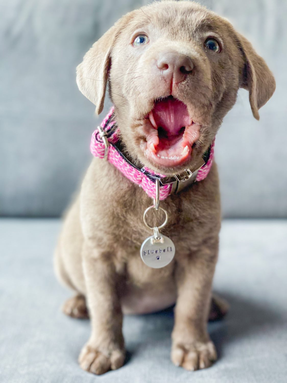 5E5D6FD2-7D95-4831-9EBE-7CB274BEF454