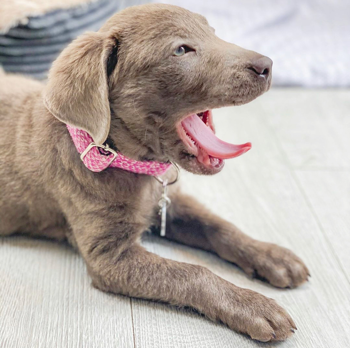 659E18DA-B403-4710-9D4D-009734334C6C