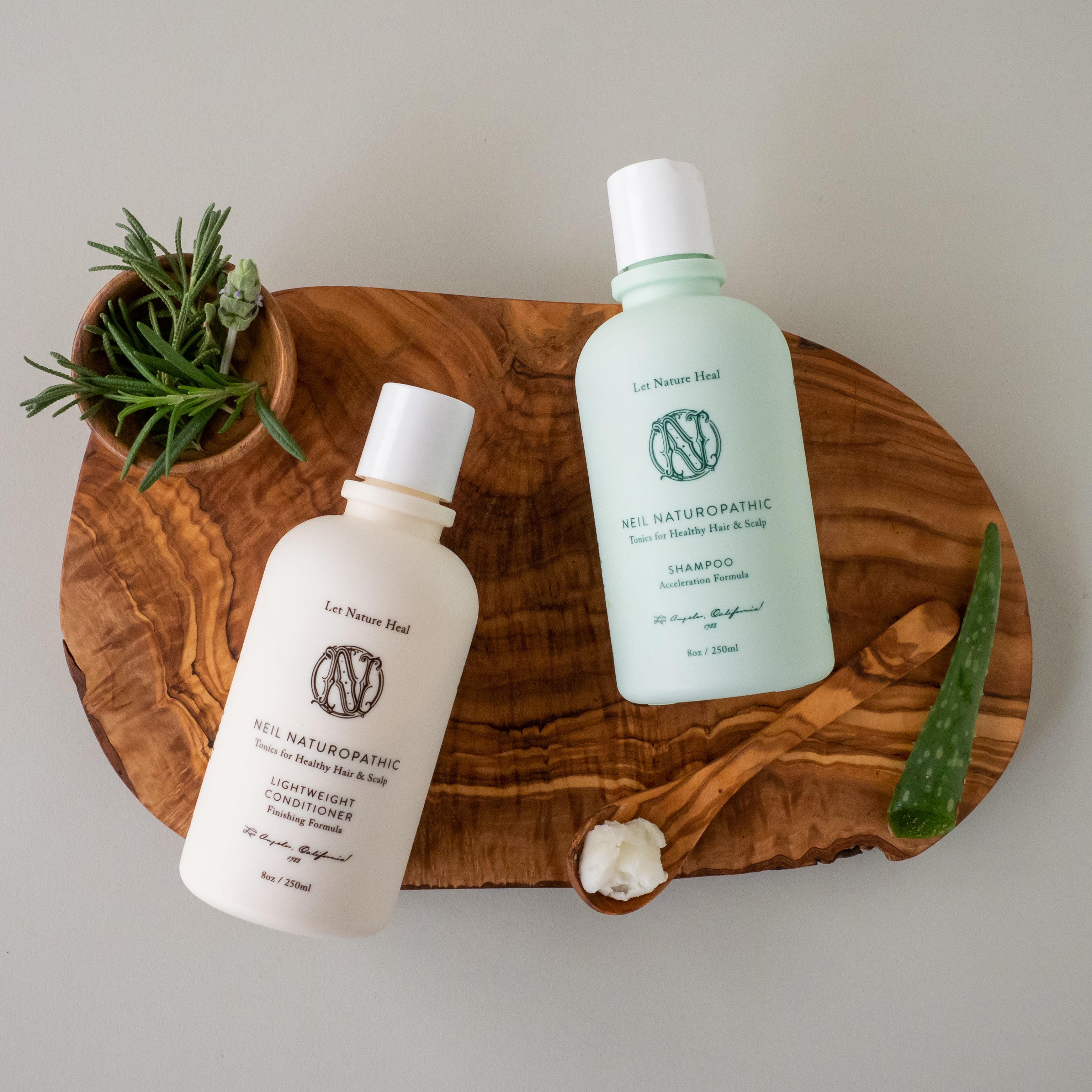 pb030299-jpgv1612846278