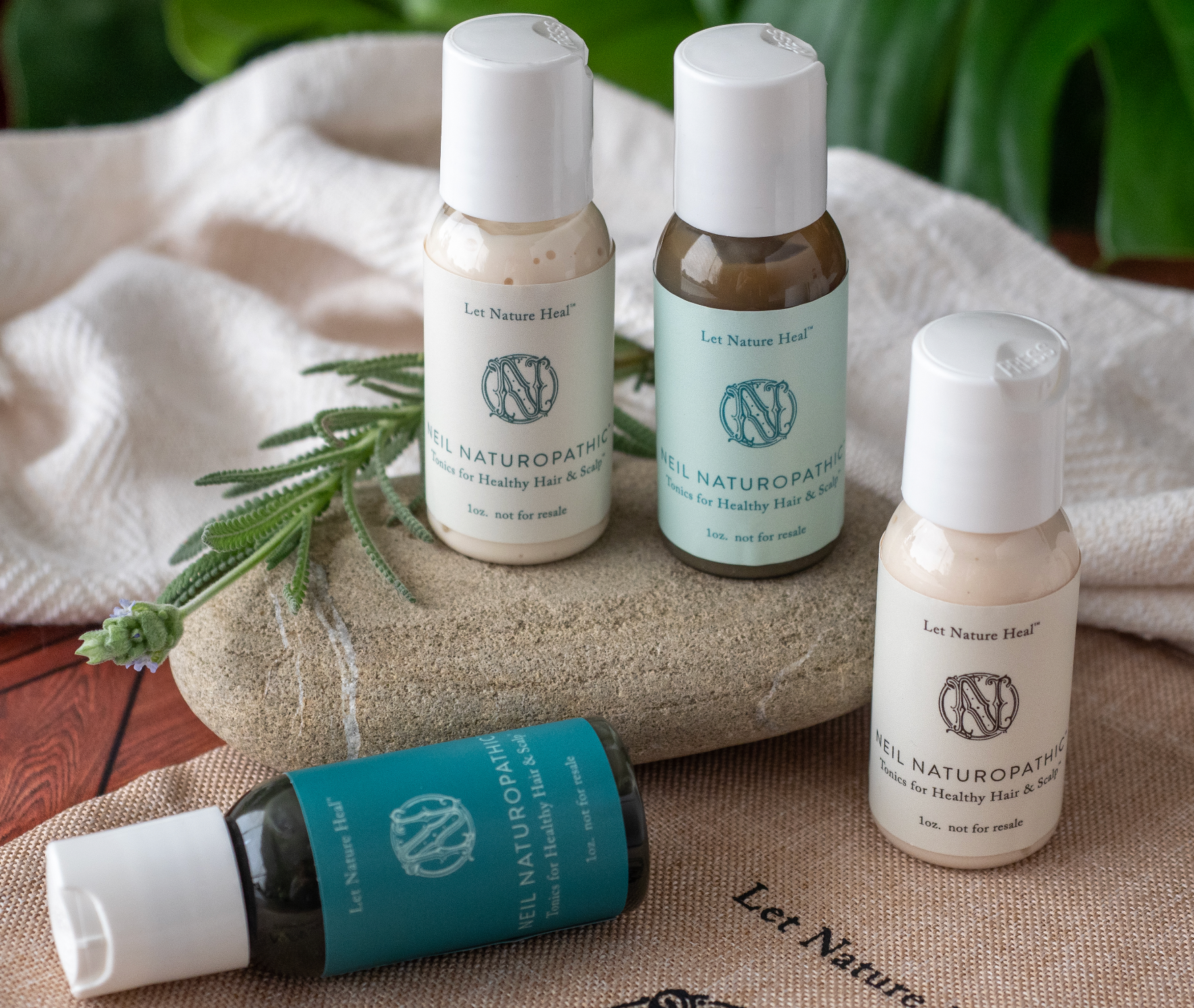 daead1827a06731bf0d713f9902d35ab-pngv1615939222