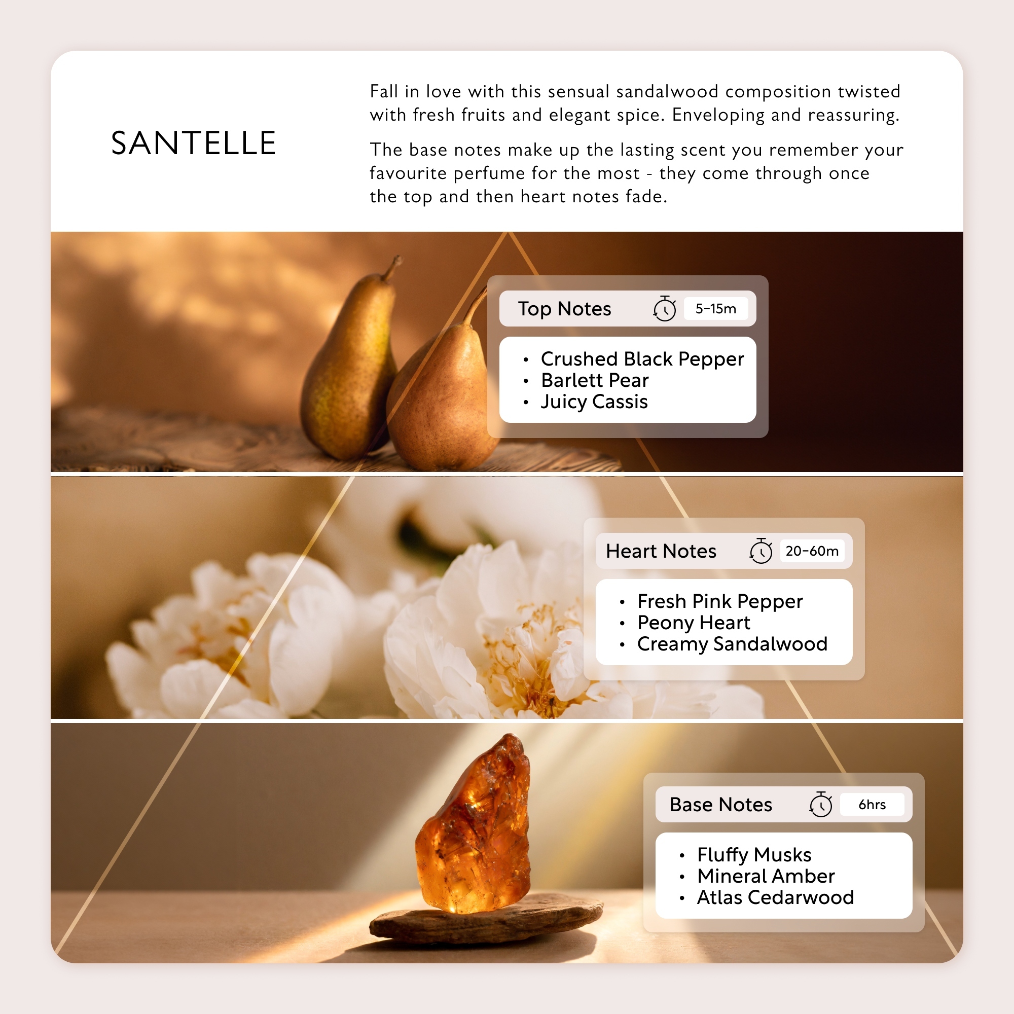 FragrancePyramid_Santelle_LR (2)