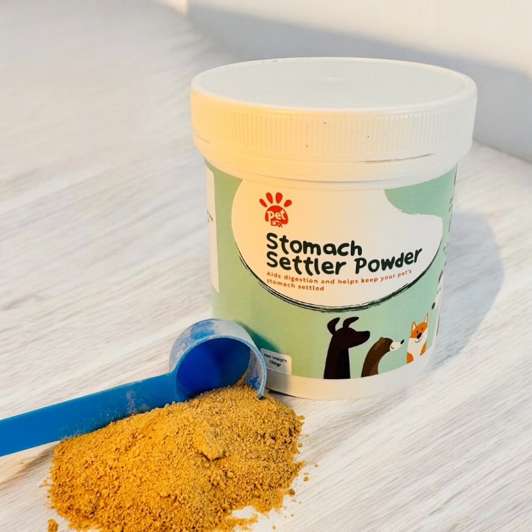 Photoroom_20250129_124905