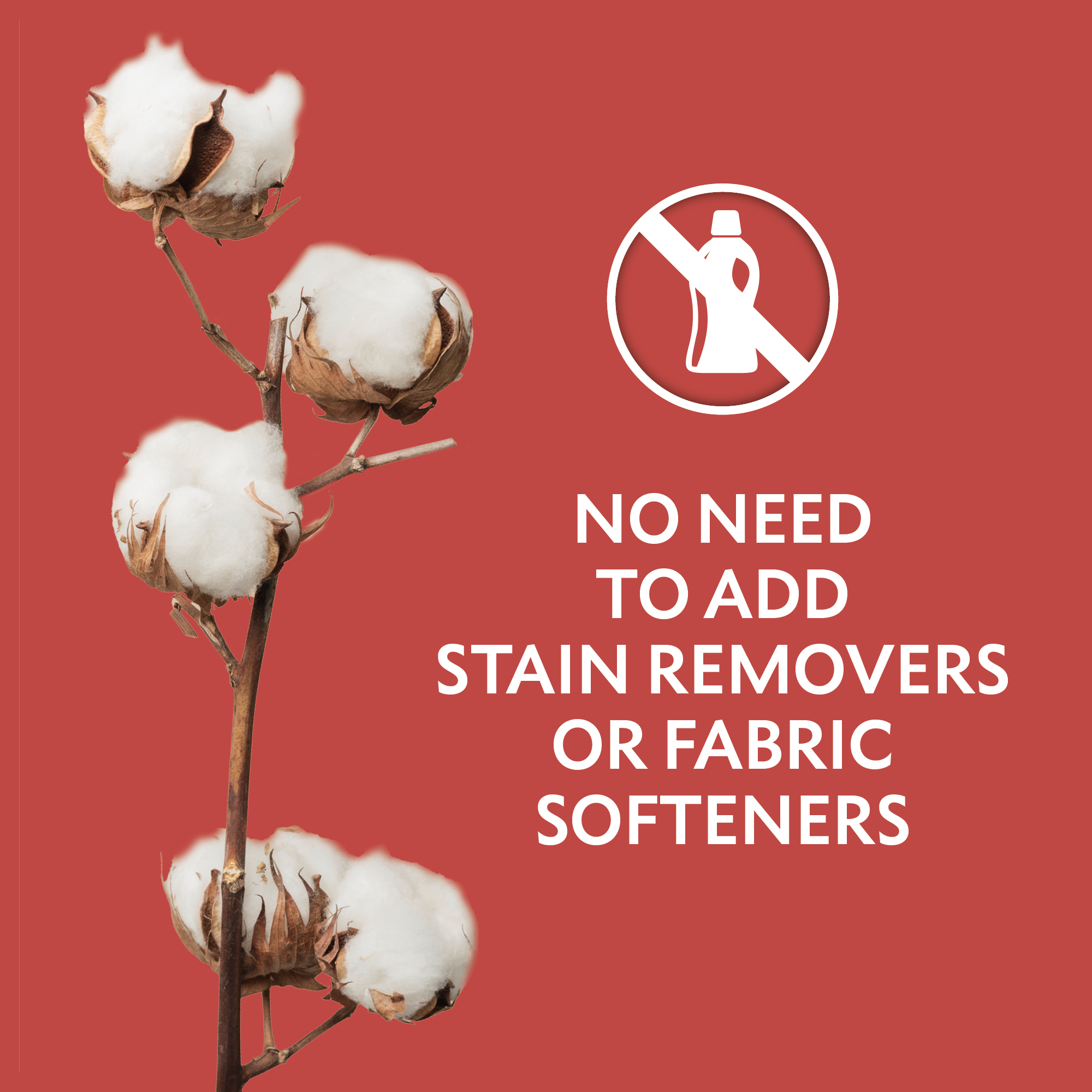 DW_AMAZON_IMAGES_MASCULINE_V64