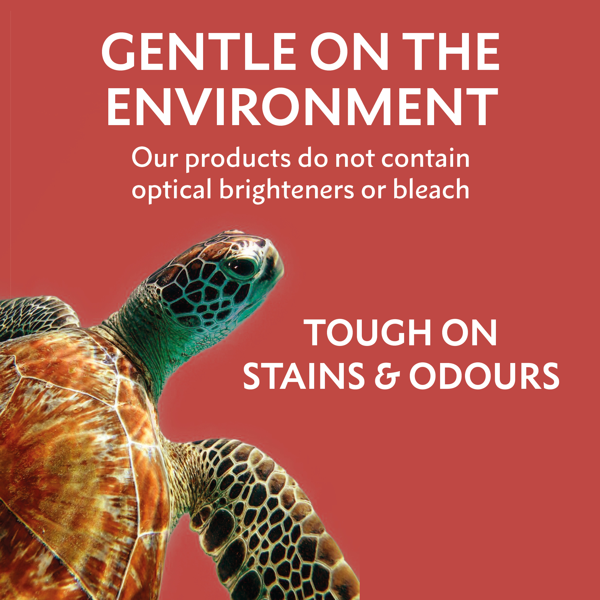 DW_AMAZON_IMAGES_MASCULINE_V66