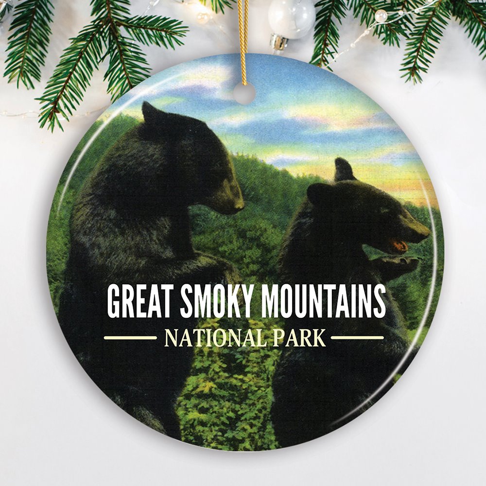 FORPRODUCTVintageGreatSmokyMountainsNationalParkOrnamentMockupGroup-05_1_christmas-new-year-composition-christmas-toys-lights-garland-spruce-branches-flat-layer-top-view-copyspace.jpg